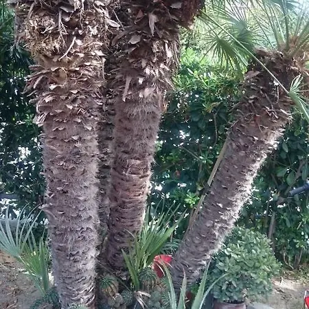 La Casetta Rosa